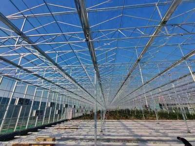 連棟薄膜溫室大棚建造商 鑫秾溫室 紋絡(luò)溫室設(shè)計(jì)