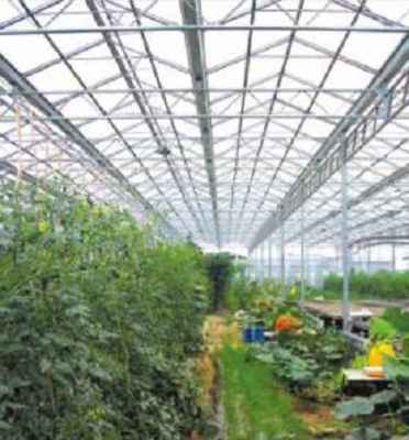 山東蔬菜溫室大棚施工
