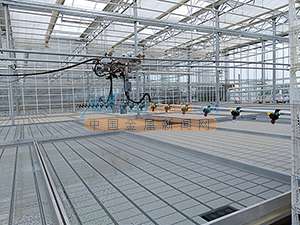 溫室大棚移動噴灌機批發 效果好的大棚噴灌機推薦