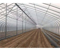 櫻桃大棚產品庫