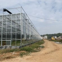 2019年溫室大棚價格與批發概覽