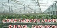 專業溫室大棚建設首選——青州市萬紅溫室公司