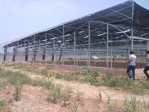 通許聯(lián)棟棚加工廠——推動(dòng)現(xiàn)代溫室大棚產(chǎn)業(yè)發(fā)展的引領(lǐng)者