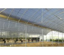 現(xiàn)代化溫室大棚 高效農(nóng)業(yè)的關(guān)鍵設(shè)施