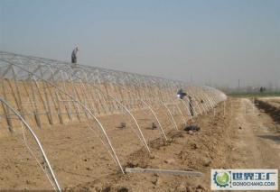 廠家直銷物廉價(jià)美溫室大棚工程建設(shè)與農(nóng)副產(chǎn)品生產(chǎn)