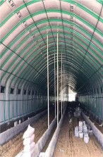 潛江養(yǎng)殖溫室大棚價(jià)格詳解 多少錢一平方？