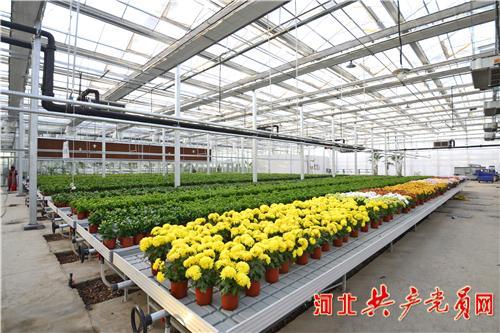 曲周縣優(yōu)中選優(yōu)培育新動(dòng)能 溫室大棚引領(lǐng)創(chuàng)新發(fā)展綠色高質(zhì)量發(fā)展