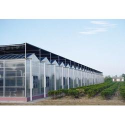 生態(tài)餐廳的供應(yīng)鏈體系 從溫室大棚到餐桌的綠色生態(tài)循環(huán)